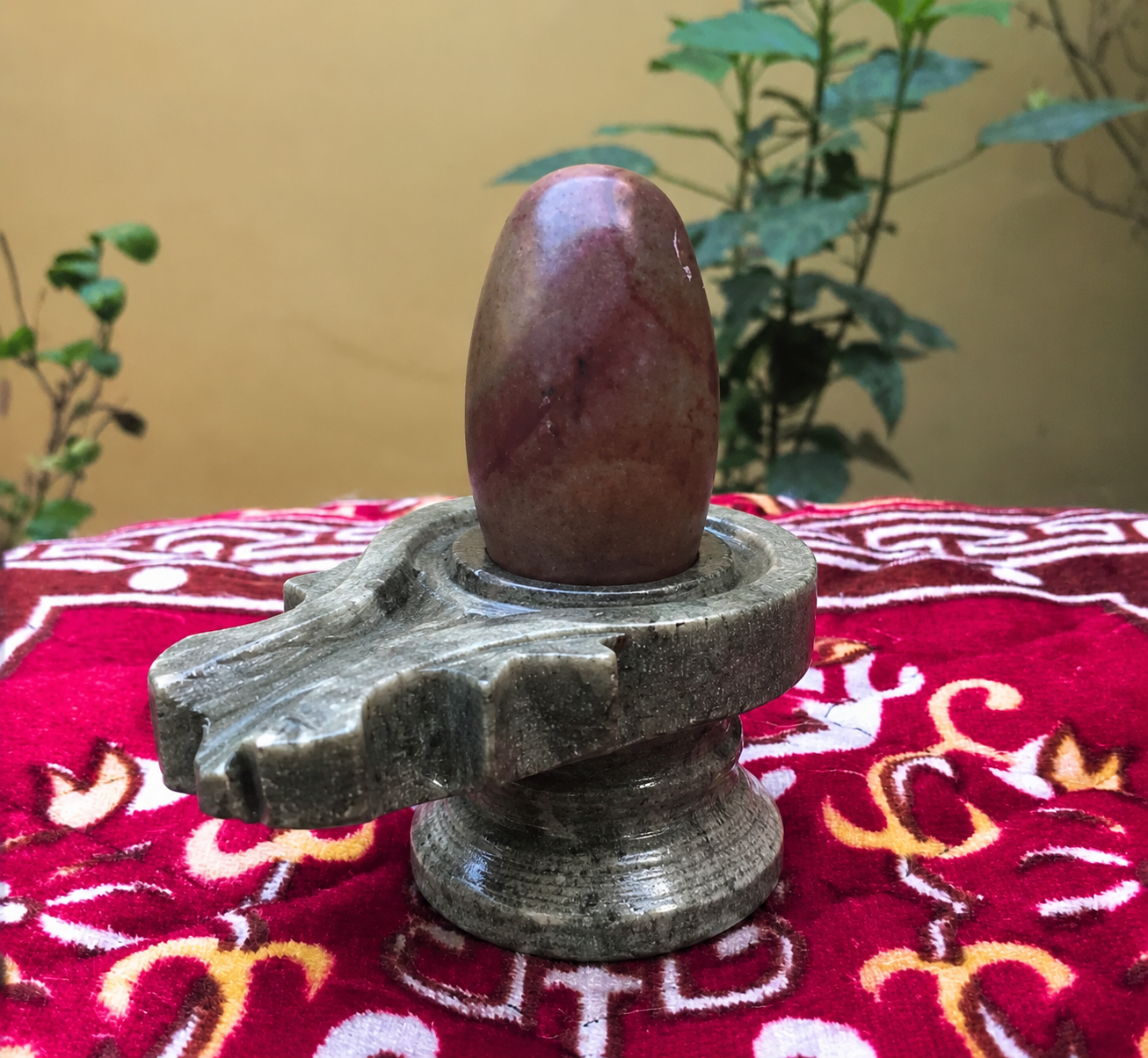 Taatvik Banalingam with Jaladhari