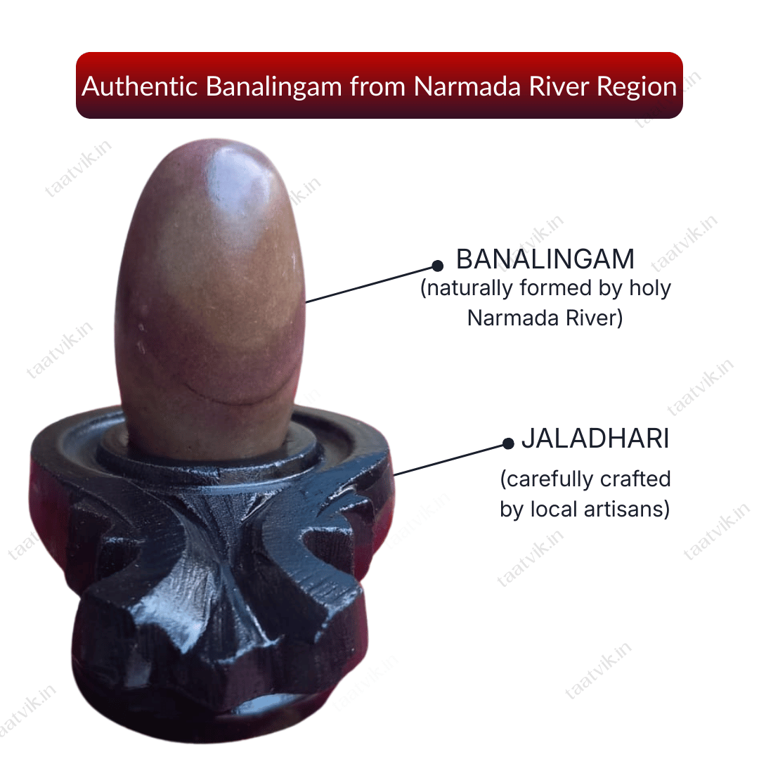 Taatvik Banalingam — detailed close view
