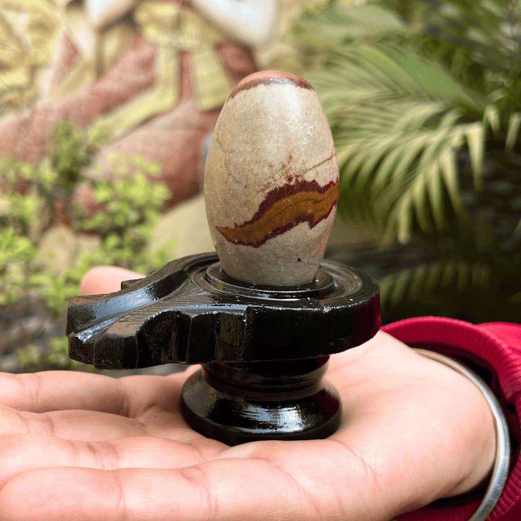 Taatvik Banalingam with Jaladhari