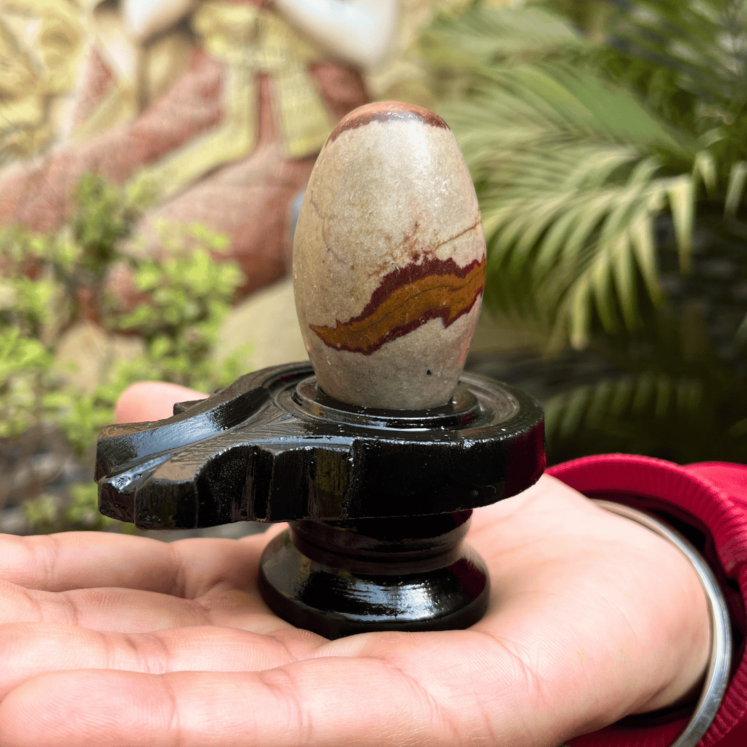 Taatvik Banalingam with Jaladhari