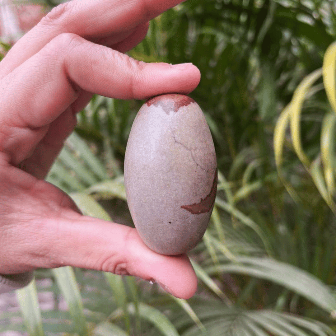 Taatvik Banalingam with Jaladhari