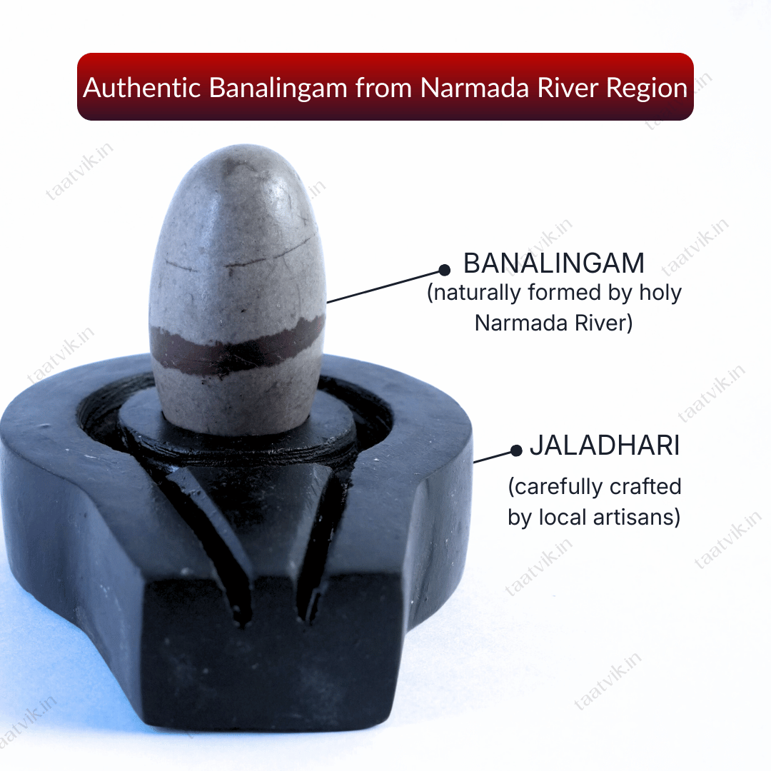 Taatvik Banalingam with Jaladhari™