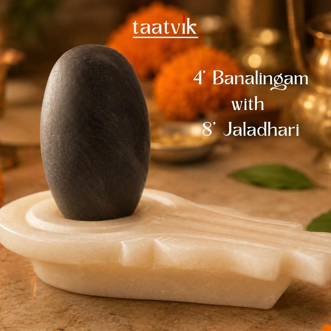 Narmadeshwar Banalingam Shivling 4' Inches with White Marble Jaldhari