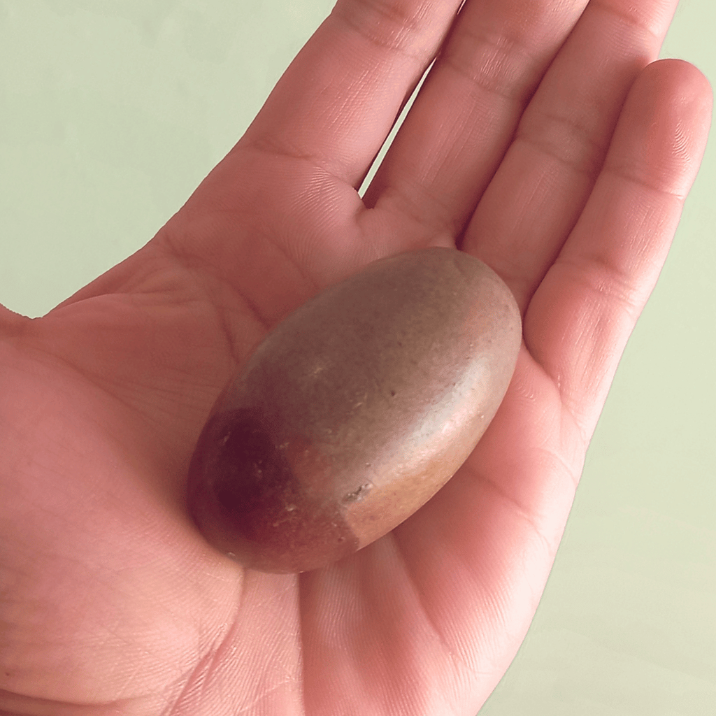 Taatvik Banalingam™