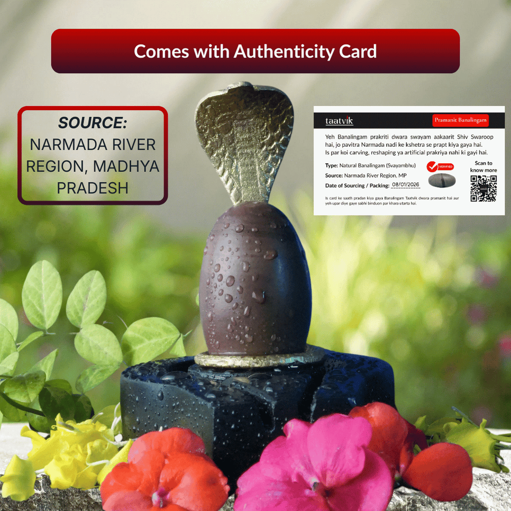 Taatvik Banalingam with Jaladhari