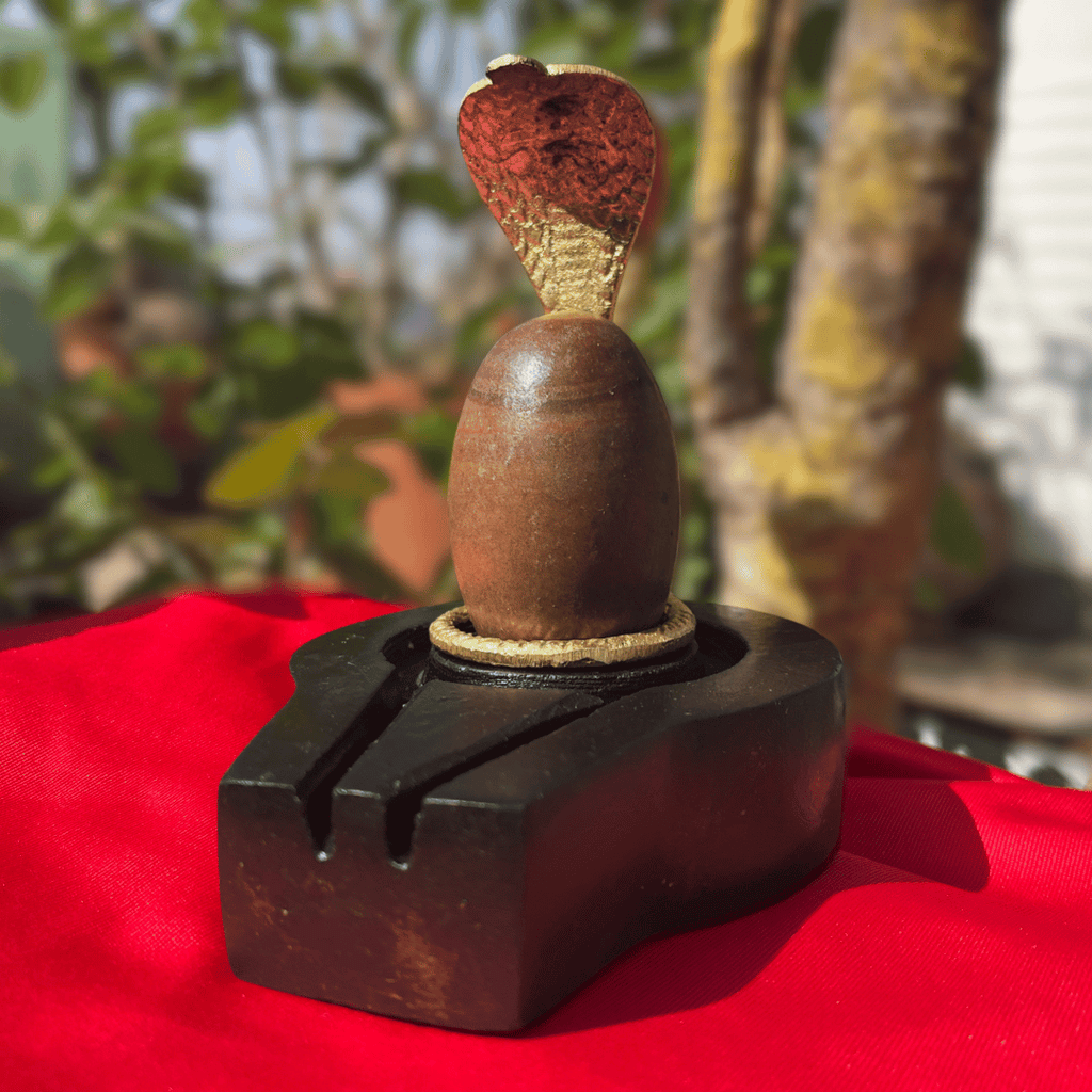 Taatvik Banalingam with Stone Jaladhari™