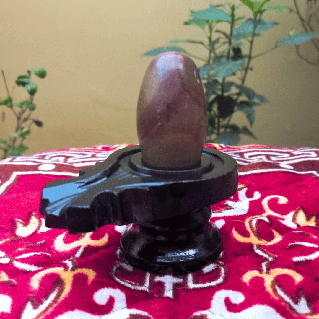 Taatvik Banalingam in a home puja setting